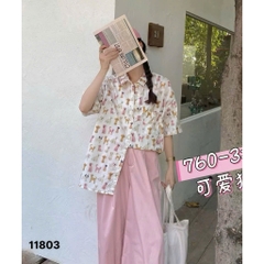 11803- Sm.dài Cho- 00270