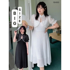 S-0020- 18493-- SK Đầm 2d khoác- 00360