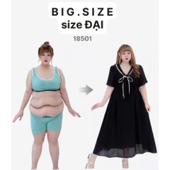 S-0020- 18501--Đầm cổ Nơ- 00464 D.ĐẠI