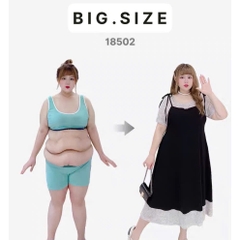 S-0020- 18502--Đầm 2d cột- 00504 D.ĐẠI Tiec Tiệc