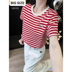 18510 A.Sọc Ngua 00288