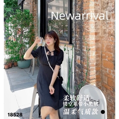 S-0020--18528- Đầm cổ cột 00272