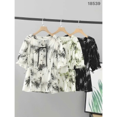 S-0020--18539- A.peplum- 00296