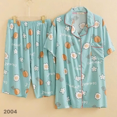 S-0020- 2004- ss.Pi 00336