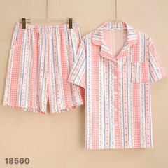 S-0020- 18560- SS.Pi  Sọc 00388