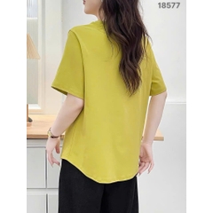 S-0020--18577- A.Ca- 00248