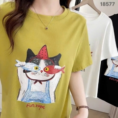 S-0020--18577- A.Ca- 00248