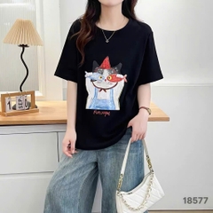 S-0020--18577- A.Ca- 00248