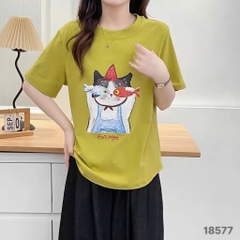 S-0020--18577- A.Ca- 00248