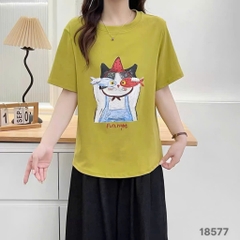 S-0020--18577- A.Ca- 00248