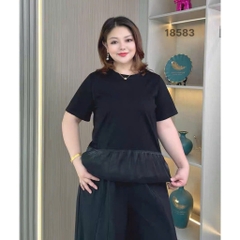 S-0020--18583- A.peplum DC 00256