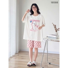 S-0020--18588- SS.Meo 00388