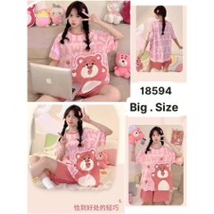 S-0020--18594- ss G- 00188