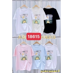 S-0020--18615- A.Vit- 00220