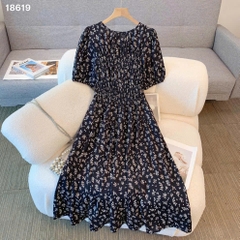 S-0020--18619- D.Hoa 00412