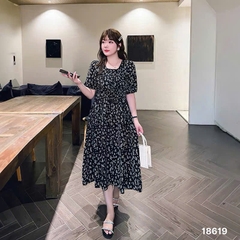 S-0020--18619- D.Hoa 00412