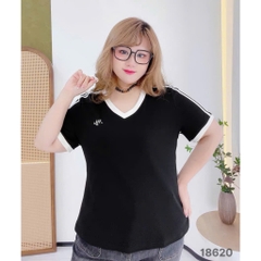 S-0020--18620- A.cổ tim sọc 00316