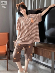 17885 SL.DAIxin Q.nâu A.nâu - NÂU - 6550