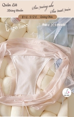 {100kg vừa} Quần lót chip BIGSIZE Quảng Châu cạp cao, lưng thun, tàng hình chống lộ viền - 18045 HỒNG