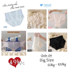 {100kg vừa} Quần lót chip BIGSIZE Quảng Châu cạp cao, lưng thun, tàng hình chống lộ viền - 18045 HỒNG