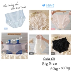 {100kg vừa} Quần lót chip BIGSIZE Quảng Châu cạp cao, lưng thun, tàng hình chống lộ viền - 18045 HỒNG