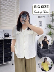 S-0020--18575- A.2 túi 00296