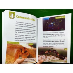 Oxford read and discover – Level 3 – 10 quyển