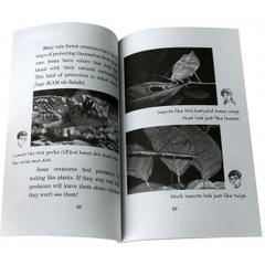 Magic Tree House Fact Tracker (Sách nhập) – Bộ 40 quyển