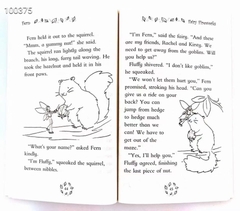 The Rainbow Fairies (Sách nhập) – 21 quyển