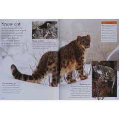 Eye Wonder (15 quyển) –  Sách nhập