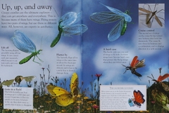 Eye Wonder (15 quyển) –  Sách nhập