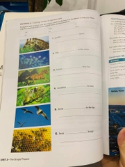 National Geographic Great Writing (Sách nhập) – 6 quyển + Key
