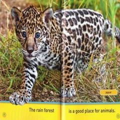 [FULL 26 BOOKS] Sách nhập – National Geographic Kids – Pre-reader (26quyển + File nghe Mp3)