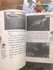 Magic Tree House Fact Tracker (Sách nhập) – Bộ 40 quyển