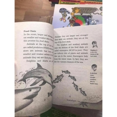 Magic Tree House Fact Tracker (Sách nhập) – Bộ 40 quyển