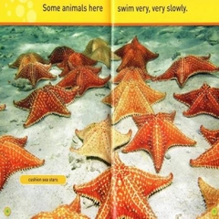 [FULL 26 BOOKS] Sách nhập – National Geographic Kids – Pre-reader (26quyển + File nghe Mp3)