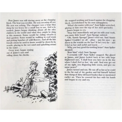 Roald Dahl Collection (Full 16 cuốn) – Sách nhập