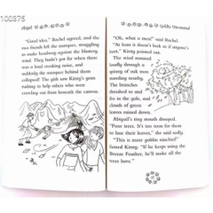 The Rainbow Fairies (Sách nhập) – 21 quyển