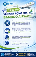 Bamboo Airways tạm dừng khai thác: Cập nhật mới nhất 2026