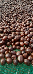 Langbiang Super Natural – Stupiducks Specialty Coffee ( SSC Roaster)