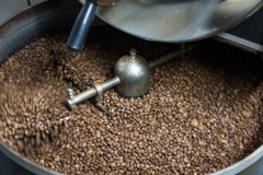 Cà Phê Mùa Xuân Spring Floral Mist 3 Regions Blend - Stupiducks Specialty Coffee ( SSC Roaster)