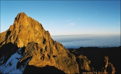 Kenya AA Plus Mount Kenya - Stupiducks Specialty Coffee ( SSC Roaster)