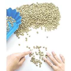 Arabica Cầu Đất, Đà Lạt, Việt Nam  Fully Washed (high quality) SHG Lotus - Khanh An Coffee Company