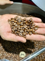 Arabica Cầu Đất, Đà Lạt, Việt Nam  Fully Washed (high quality) SHG Lotus - Khanh An Coffee Company