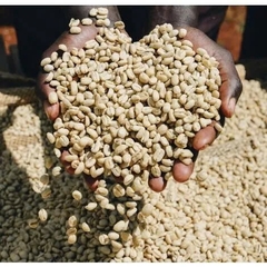 Ethiopia Aricha TOH #3 Washed G1 Kurume - Stupiducks Specialty Coffee ( SSC Roaster)
