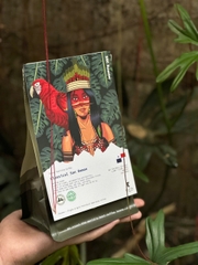 Panama Classical San Ramon Finca Eleta - Stupiducks Specialty Coffee ( SSC Roaster)