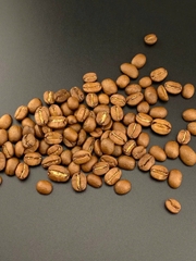 Cà Phê Khun Juroon Thái Lan Chiang Rai Mountain - Stupiducks Specialty Coffee ( SSC Roaster)