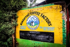 Cà Phê Nhân Xanh QB Kenya Othaya FCS Kiaguthu Factory AA Natural