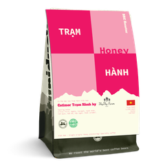 Cà Phê Đặc Sản Việt Nam Arabica Trạm Hành pha Pour Over, Cold Brew và Espresso - Stupiducks Specialty Coffee ( SSC Roaster)