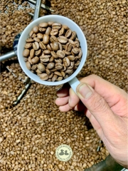 Arabica Colombia Huila Volcano Supremo Sc 17/18 Washed - Stupiducks Specialty Coffee (SSC Roaster)